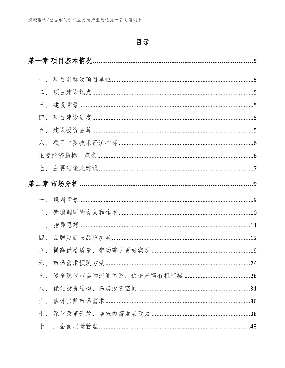 金昌市关于成立传统产业改造提升公司策划书（参考模板）_第1页