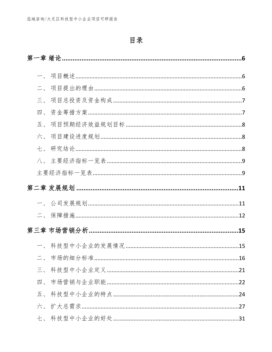 大足区科技型中小企业项目可研报告（范文）_第1页