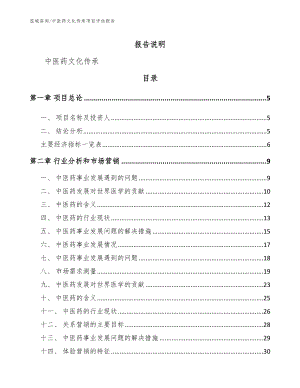 中医药文化传承项目评估报告_模板参考