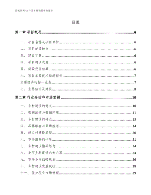 大竹县乡村项目评估报告_参考模板