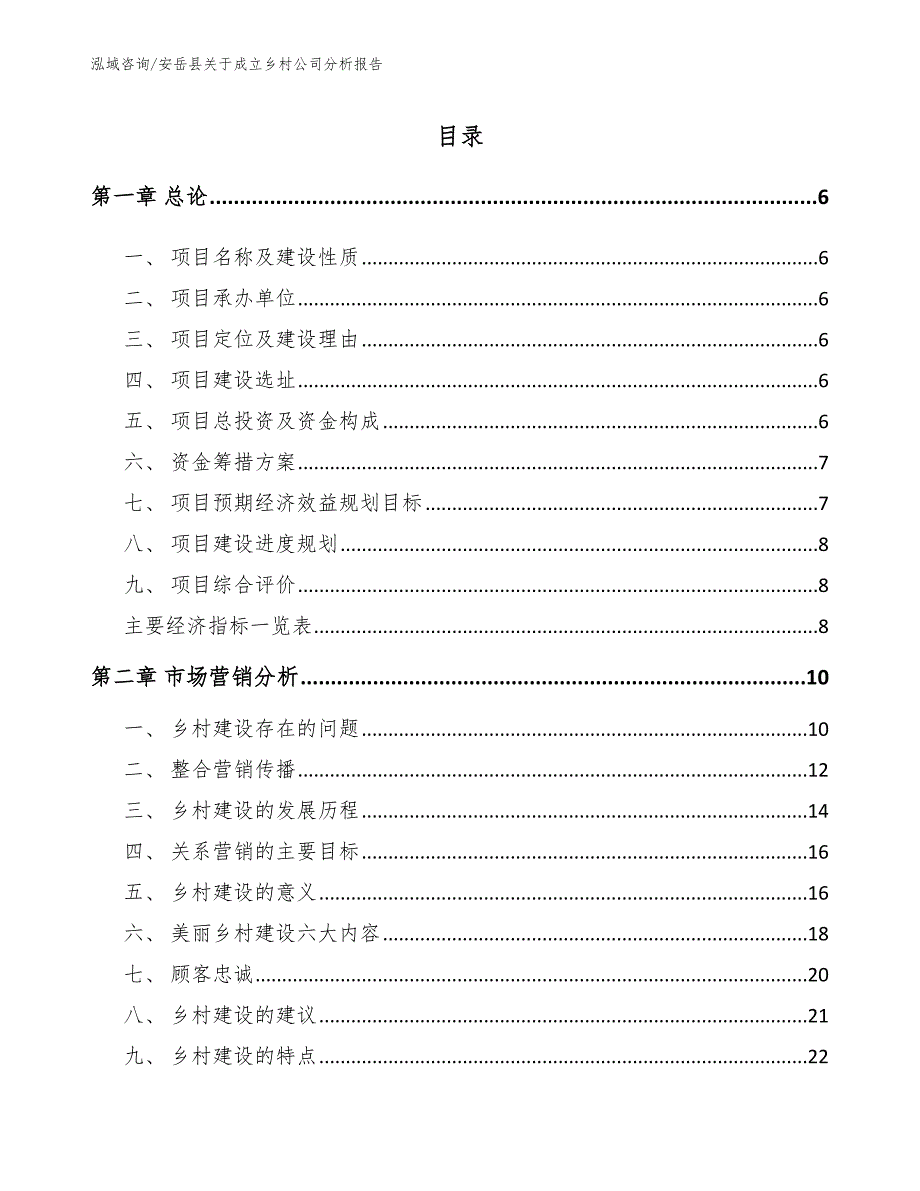 安岳县关于成立乡村公司分析报告_参考模板_第1页