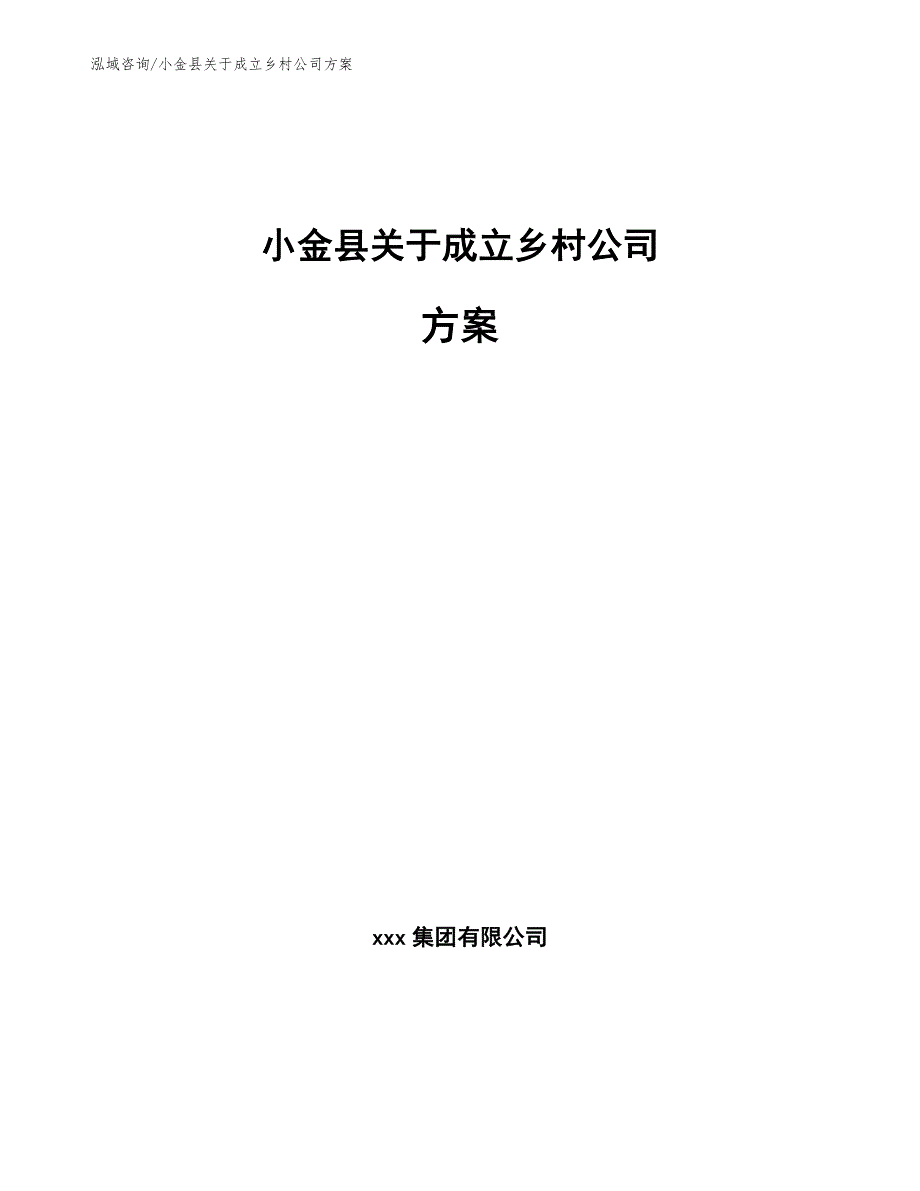 小金县关于成立乡村公司方案_第1页