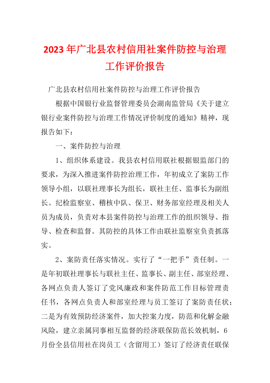 2023年广北县农村信用社案件防控与治理工作评价报告_第1页