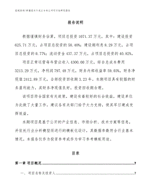 梓潼县关于成立乡村公司可行性研究报告_参考模板