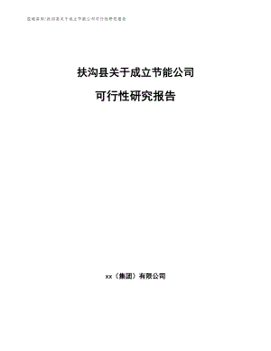 扶沟县关于成立节能公司可行性研究报告模板范本