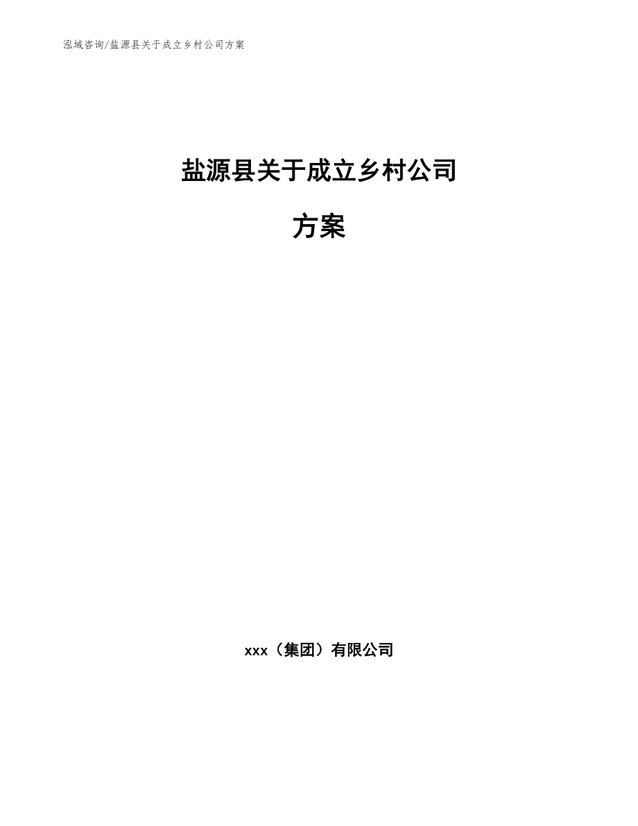 盐源县关于成立乡村公司方案_模板参考_第1页