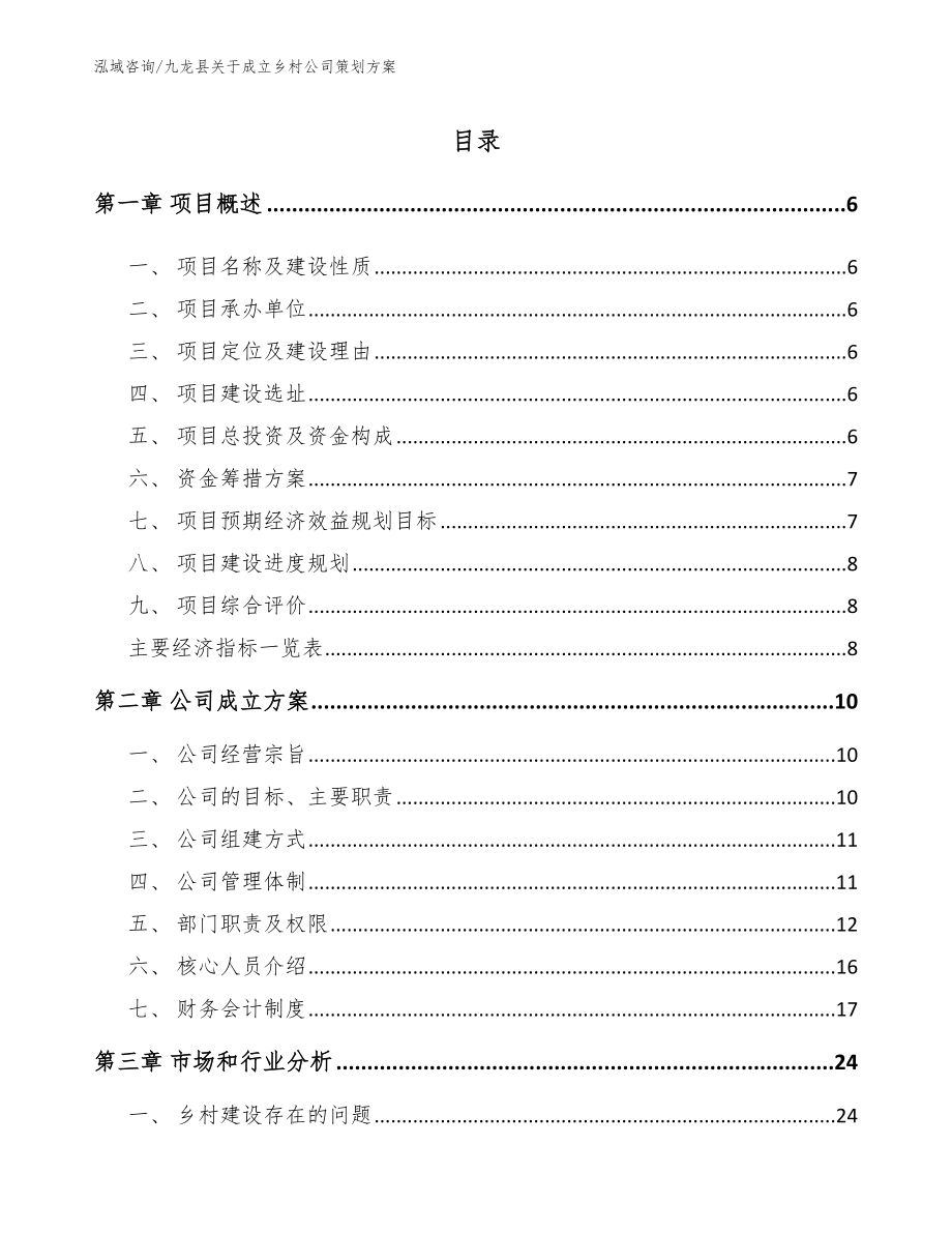 九龙县关于成立乡村公司策划方案（参考模板）_第1页