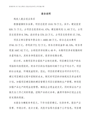 关于成立残疾人就业创业体系公司实施方案_参考范文