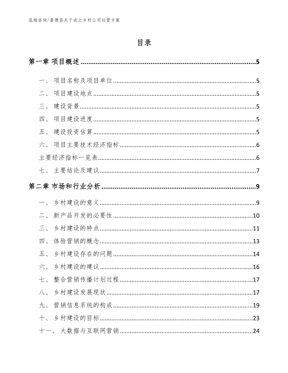 喜德县关于成立乡村公司运营方案_第1页