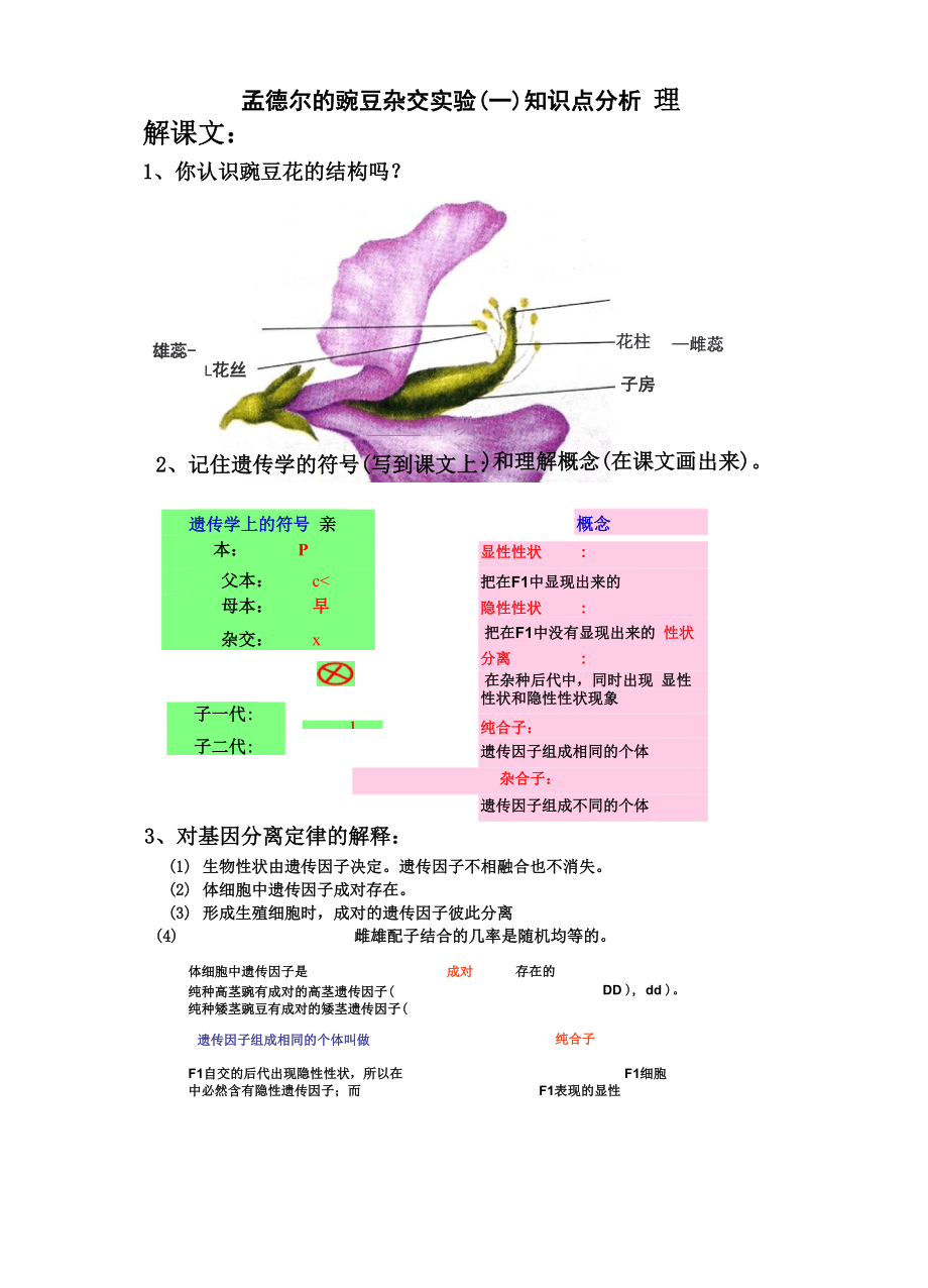 孟德尔的豌豆杂交实验(一)知识点分析_第1页