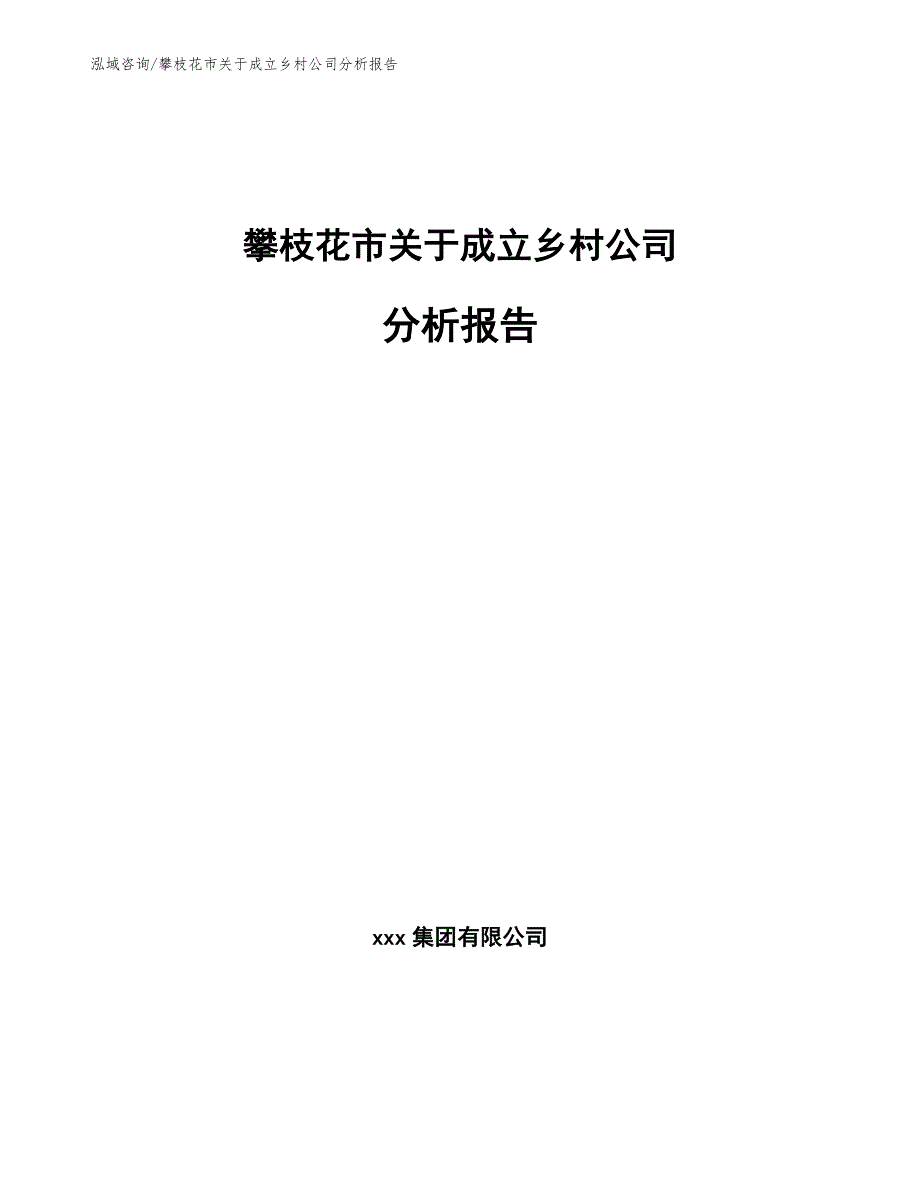 攀枝花市关于成立乡村公司分析报告范文模板_第1页