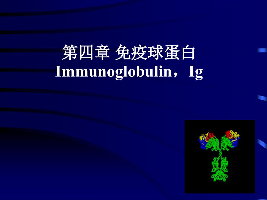 医学免疫学课件：第四章 免疫球蛋白_第1页