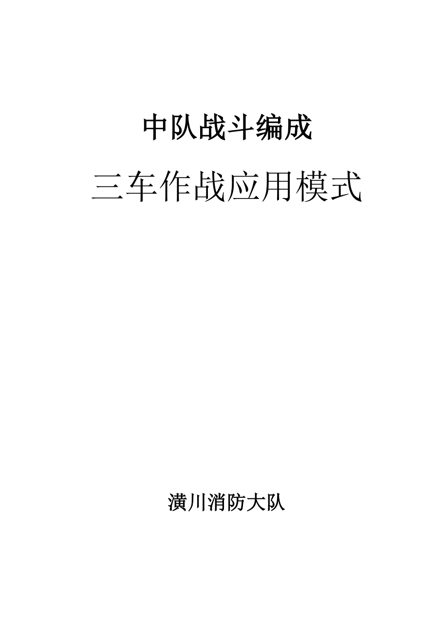 中队战斗编成_第1页