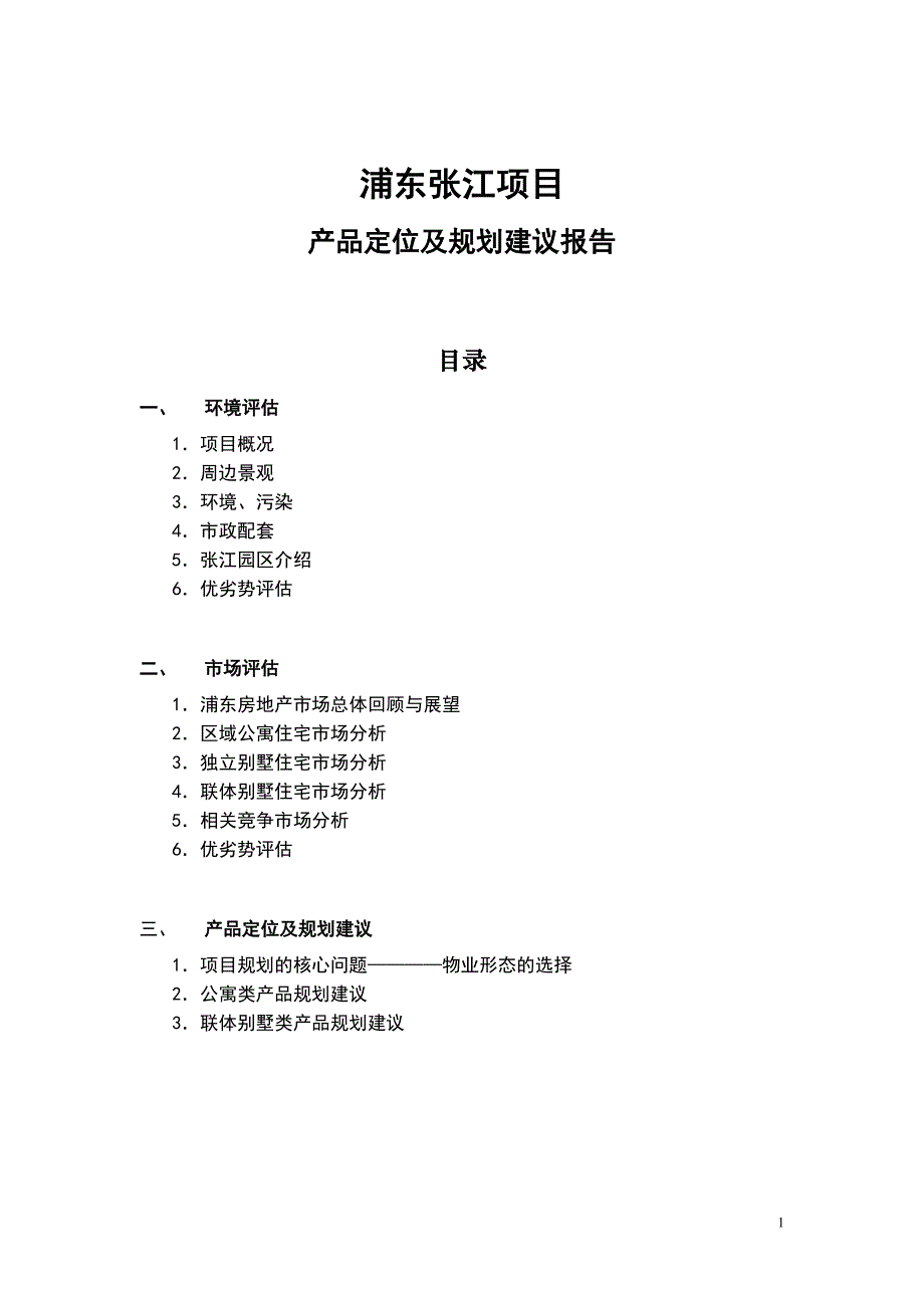 上海张江项目策划方案_第1页