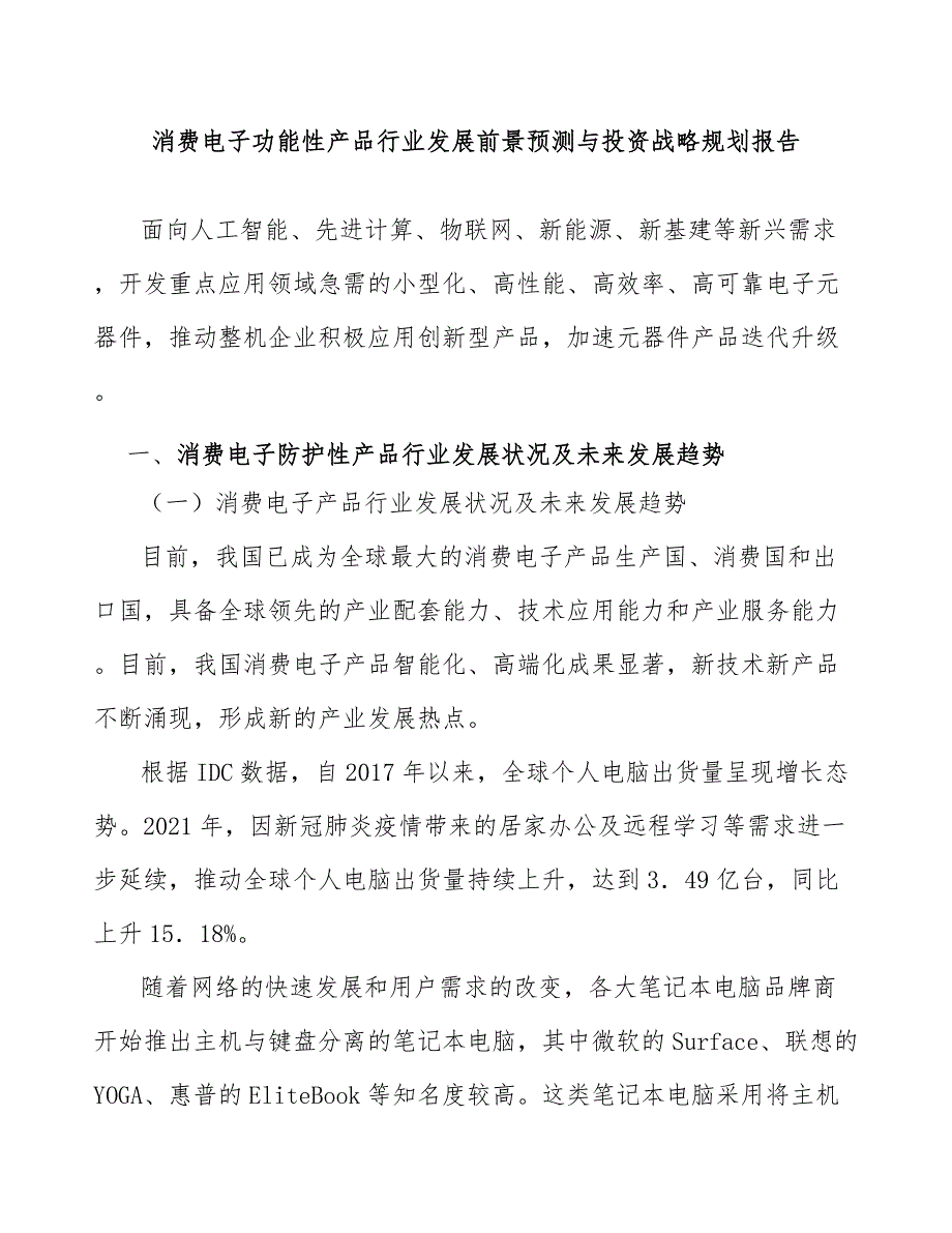 消费电子功能性产品行业发展前景预测与投资战略规划报告_第1页