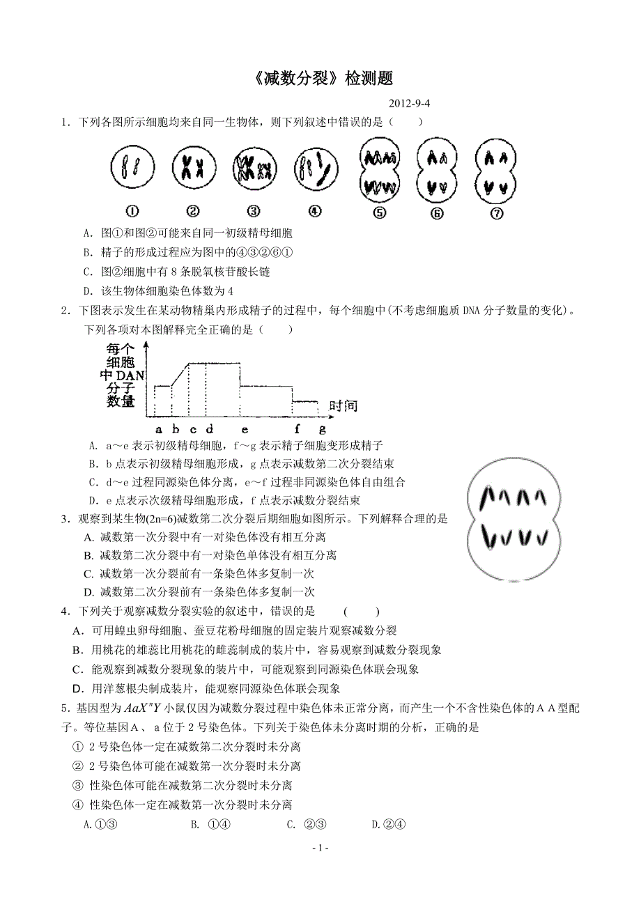 减数分裂检测题_第1页