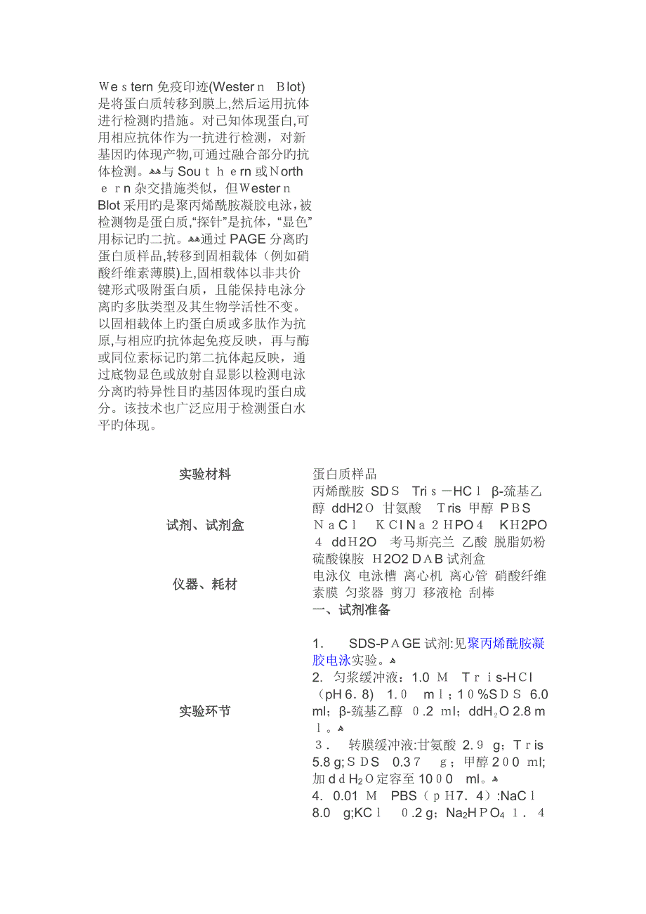 westernblot详细图解_第1页