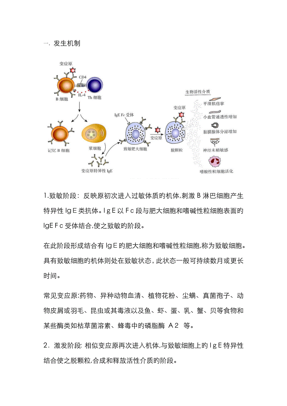 Ⅰ型超敏反应的发生机制和防治原则_第1页