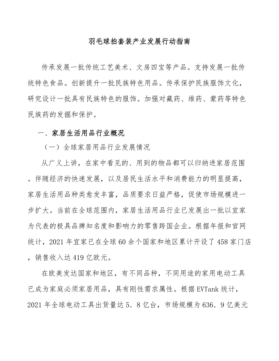 羽毛球拍套装产业发展行动指南_第1页