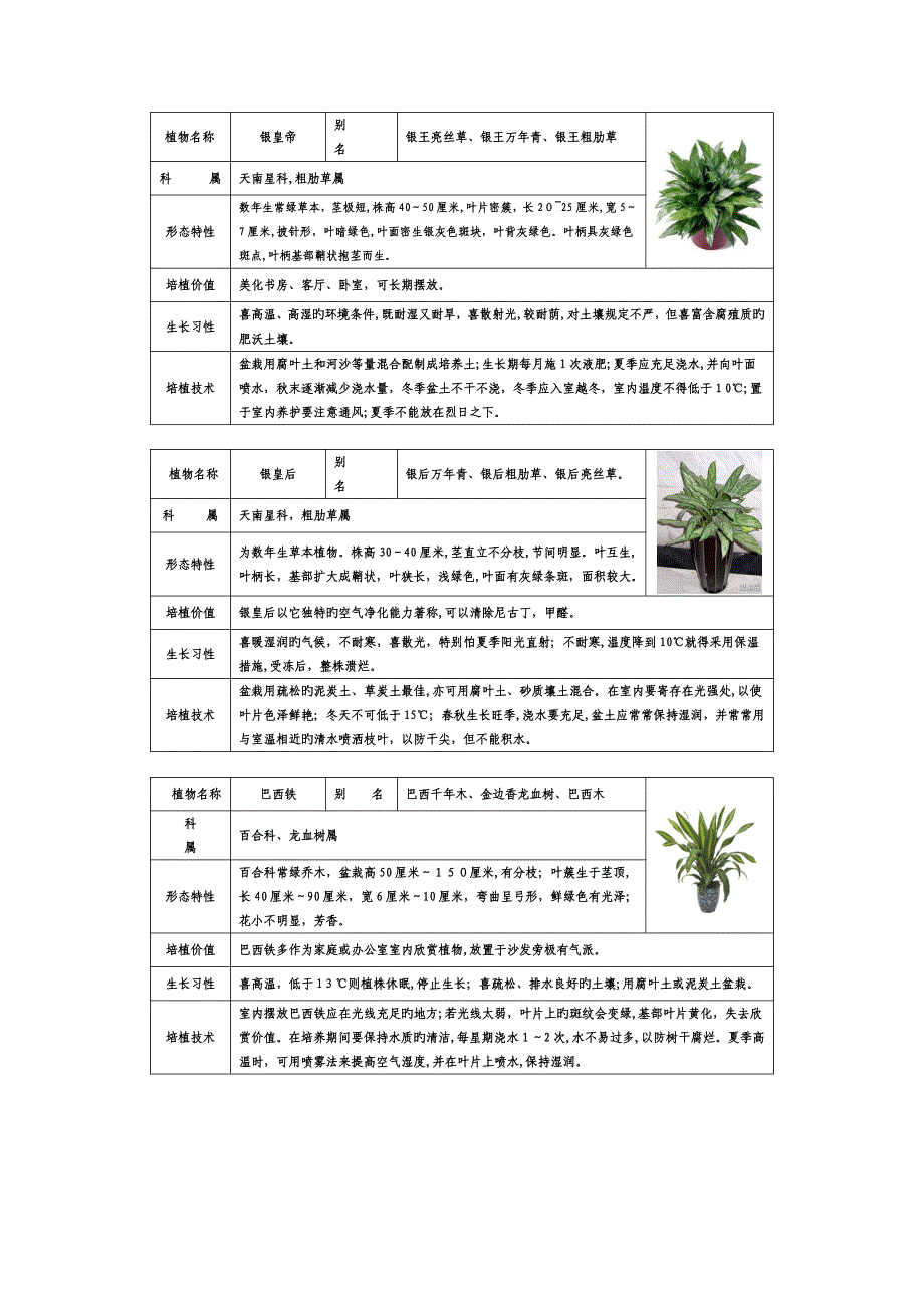 常见室内盆栽绿化植物介绍(带图片)-免费_第1页