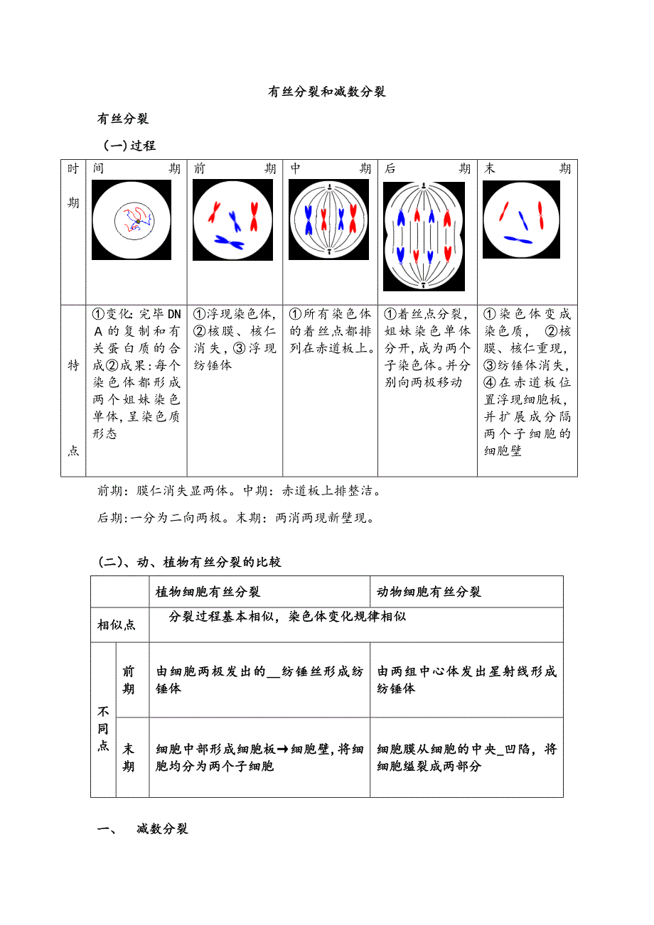 高中生物必修二减数分裂详尽分析_第1页