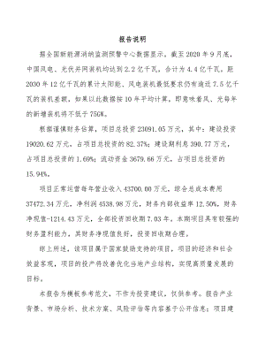 上海年产xxxGW单晶硅光伏组件项目计划书