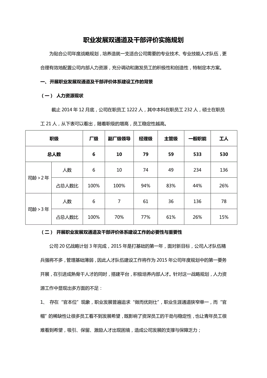 职业发展双通道及干部评价实施规划_第1页