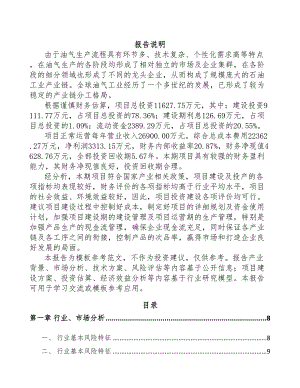 南昌井控设备项目可行性研究报告(DOC 88页)