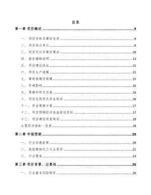 内江精细化工中间体项目可行性研究报告(DOC 100页)