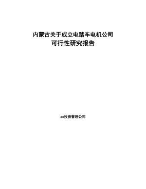 内蒙古关于成立电踏车电机公司可行性研究报告(DOC 101页)