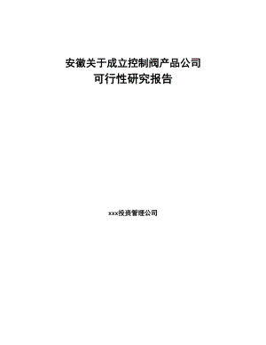 安徽关于成立控制阀产品公司可行性研究报告(DOC 92页)