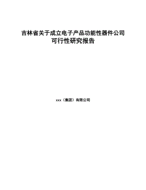 吉林省关于成立电子产品功能性器件公司可行性研究报告(DOC 90页)