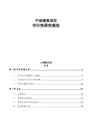 宁波模具项目可行性研究报告(DOC 80页)