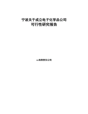 宁波关于成立电子化学品公司可行性研究报告(DOC 98页)