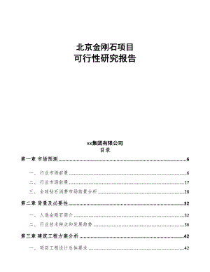 北京金刚石项目可行性研究报告(DOC 74页)