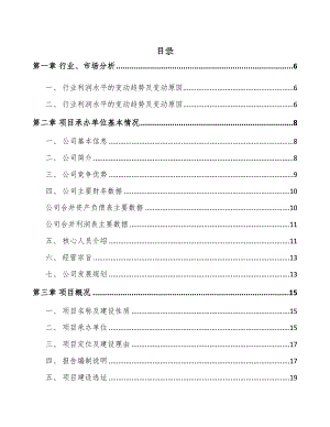 宁波二片罐项目可行性研究报告(DOC 47页)