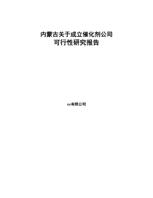 内蒙古关于成立催化剂公司可行性研究报告(DOC 85页)