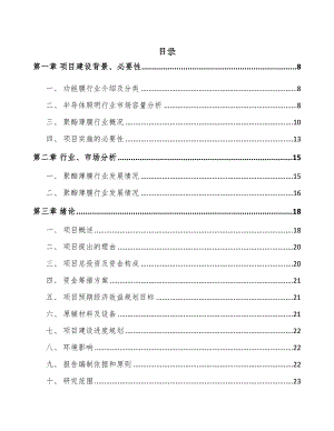 南昌功能膜项目可行性研究报告(DOC 81页)