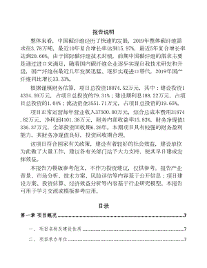 北京碳纤维原丝项目可行性研究报告(DOC 75页)