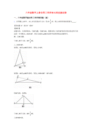 八年级数学上册全等三角形单元培优测试卷(DOC 19页)