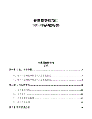 秦皇岛钎料项目可行性研究报告(DOC 98页)