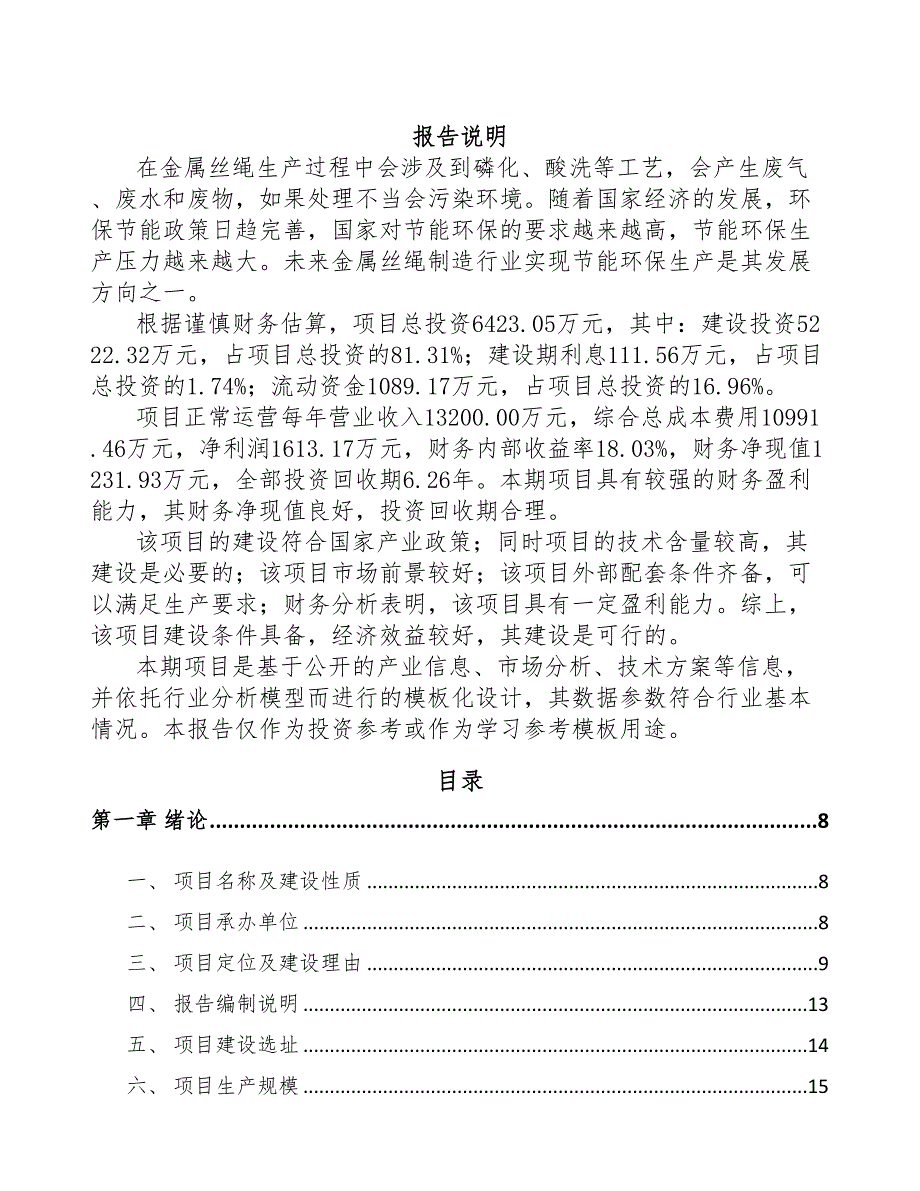 汕头金属丝绳项目可行性研究报告(DOC 96页)_第1页