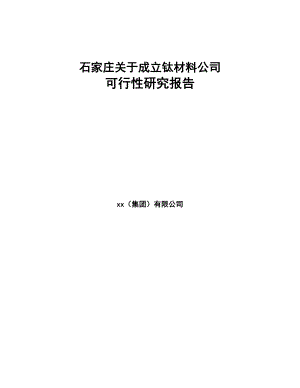 石家庄关于成立钛材料公司可行性研究报告(DOC 86页)