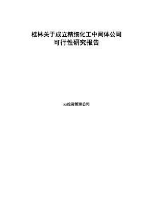 桂林关于成立精细化工中间体公司可行性研究报告(DOC 75页)
