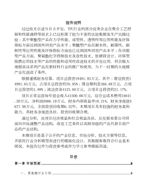 年产xxx吨TPU产品项目投资决策报告(DOC 84页)