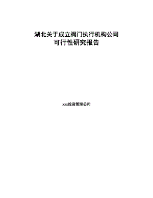 湖北关于成立阀门执行机构公司可行性研究报告(DOC 89页)