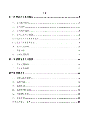 石家庄微型电机项目可行性研究报告(DOC 88页)
