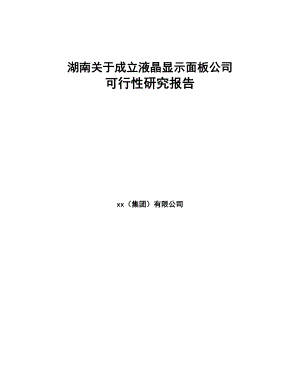 湖南关于成立液晶显示面板公司可行性研究报告(DOC 112页)