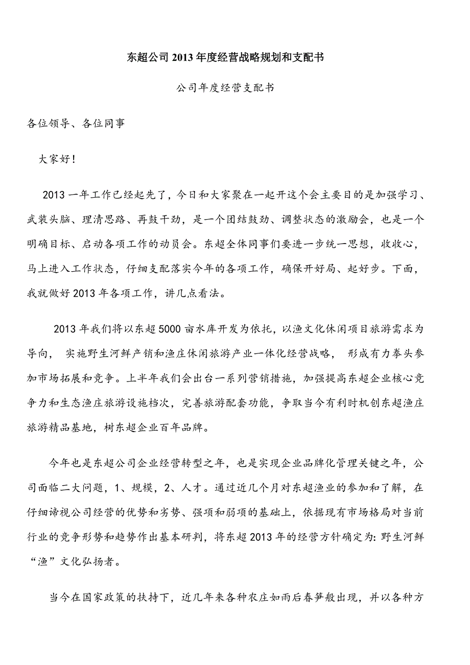 公司2013年度经营战略规划和计划书_第1页