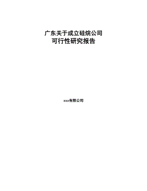 广东关于成立硅烷公司可行性研究报告(DOC 109页)